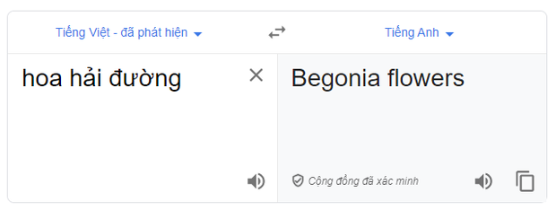 Hoa Hải Đường của Jack đạt Top 1 trending nhưng dính lỗi sai khó hiểu liên quan đến tiếng Anh - Ảnh 3.