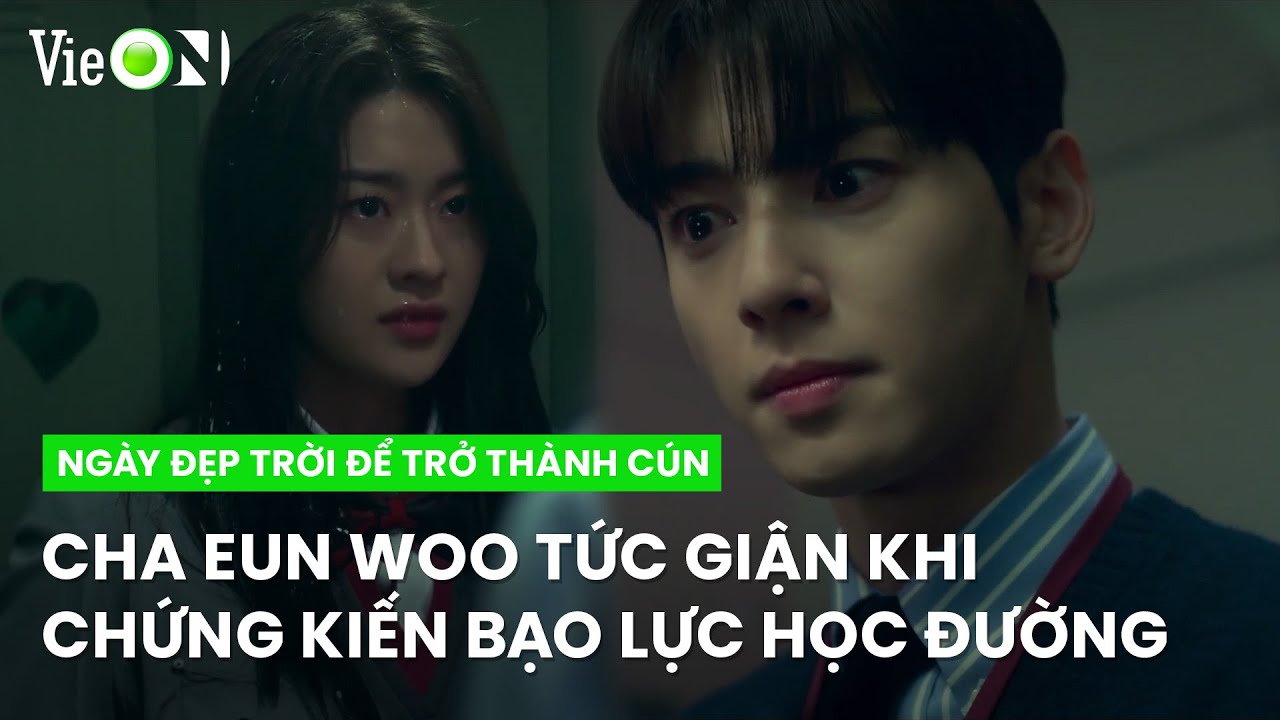 Cha Eun Woo tức giận khi bắt gặp cảnh bạo lực học đường | Ngày Đẹp Trời Để Trở Thành Cún